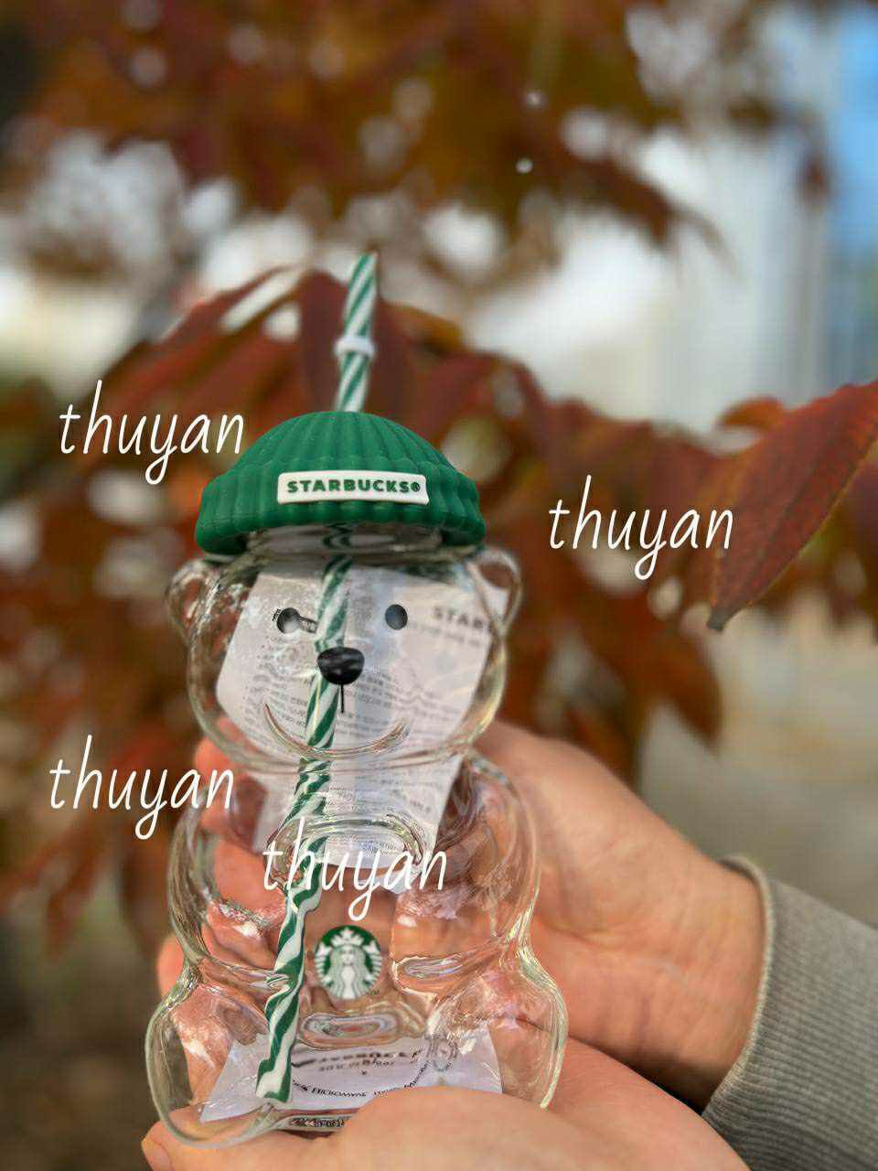 photo_2023-10-29_09-06-14 Starbucks Bear Autumn Glass 20oz